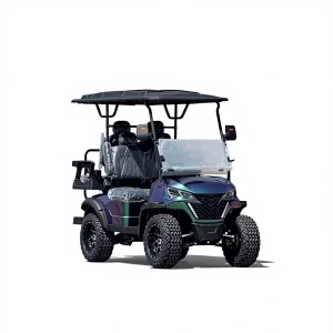 Customized Golf Cart with Standing Position Golf Lithium Battery Chinese Off-road Golf Carts
