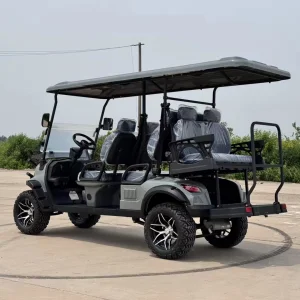 Wholesale Price 6 Seaters Utv 4x4 Gasoline