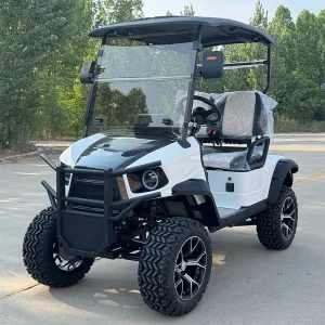 4 Seater Golf Cart 72V