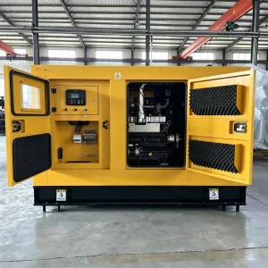 Low Operation Noise Biogas Generator Set 30kw