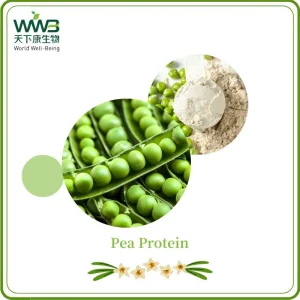 Food Grade/Protein Powder/Plant Extract/Pea Protein Isolate/Pea Protein