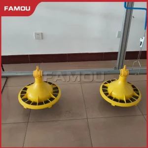 Poultry Equipment