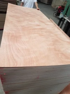 Compared Price 1200*1800mm Furniture Grade Plywood Pine/Okoume/Poplar/Birch Plywood
