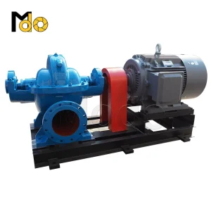 Double Suction Water Pump