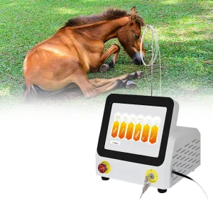 2023 980nm Laser Physiotherapy Veterinary Veterinari Horses Therapy Equipment