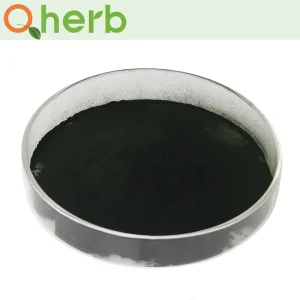 Highlight Green Color and Nutrient-Rich Superfood Protein Source Chlorella Powder