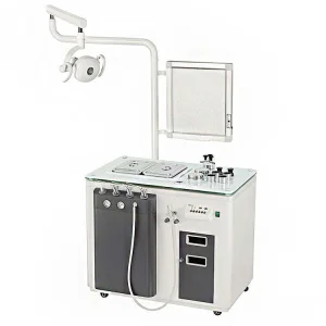 Flexible Video Endoscope