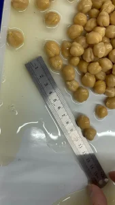 Garbanzos enlatados deliciosamente nutritivos para comidas versátiles
