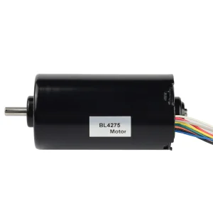 BLDC Motor with Controller
