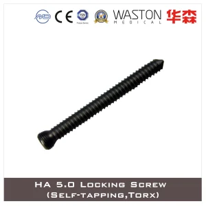 Ha 5.0 Self-Tapping Locking Screw with Torx and Hex Head