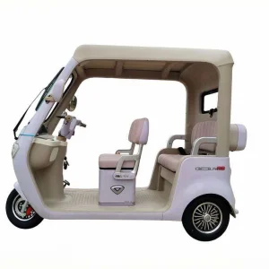 Wholesale Electric Tricycle M9