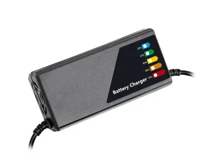 60V LiFePO4 Charger