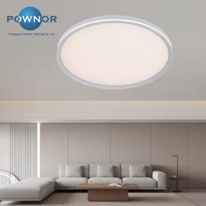 Nordic Modern Dimmable LED Ceiling Lamp