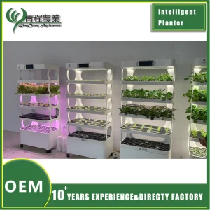 Hydroponic Gardening Solution for Hydroponic Smart Indoor Planter Care and Growth