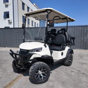 Foldable Electric 4 Seater Golf Cart