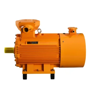 Explosion Proof AC Motors