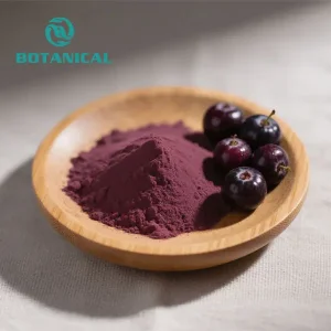 ODM Maqui Berry Extract Manufacturer, Factories