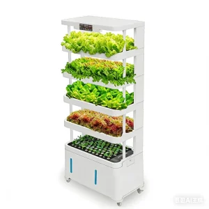 Hydroponics System