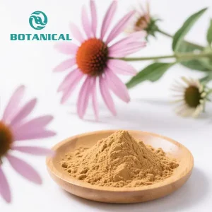 High-Quality Purple Coneflower Extract |Standardized to Polyphenols Manufacturer, Factories
