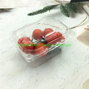 Plastic Tomato Punnets