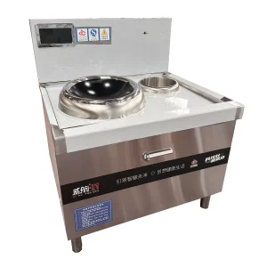 Compact Solo Induction Cooktop