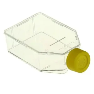 Sale 225cm2 Tc Vented Cell Culture Flask in Sterile Sealed Bag