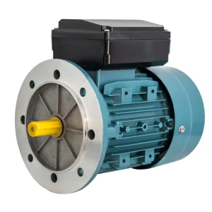 Induction Motor