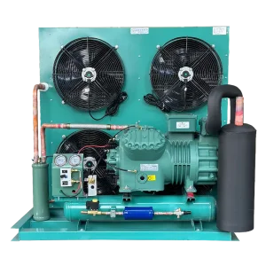 OEM FNH Series Cold Storage Condensing Unit - Reliable China Suppliers and Factory for Versatile Refrigeration Solutions Manufacturer, Factory