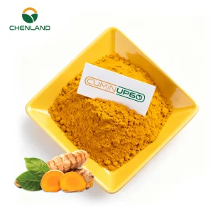Food Grade Herbs Plant Extract CuminUP60 60% 100% Organic Turmeric Powder for Nutritional Supplements
