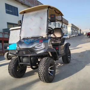 Carrito de golf loco y buggy con vehículo eléctrico personalizable específico para automóviles Bumper/2-Seater de color gris, coche de turismo en venta