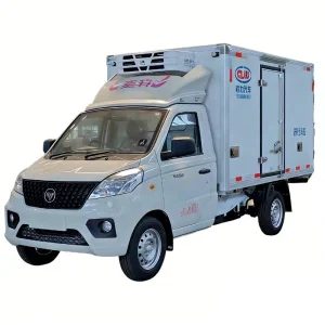 Clw Foton 4X2 Forland 131HP 5cbm Ice Cream Freezer Refrigerated Truck Box Freezer Van with Lifting Plate