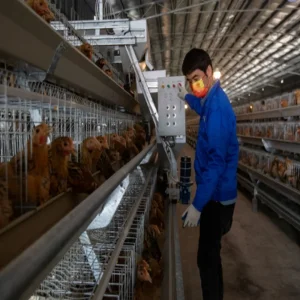 Farming Steel Structure Housing for Poultry and Livestock Ranch