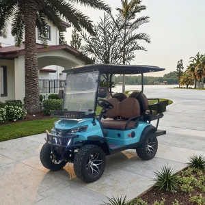 Professional Custom 2-8 Passenger Electric Golf Cart Fleet Rapid Charging System Complete Maintenance Package Durable