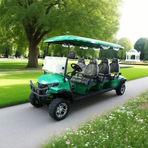 Wholesale High-Performance Golf Cart with Customization