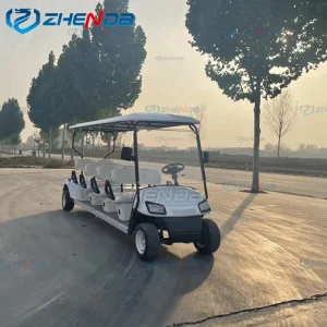Luxury Electric Car 8 Passenger