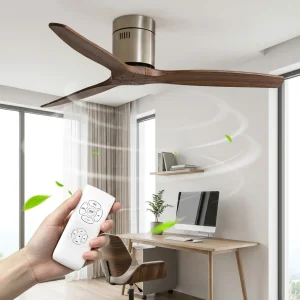 Smart Ceiling Fan Remote Control DC Motor