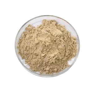 Hongda Factory Supply Organic Chickpea Protein Isolate Powder for Food and Beverage