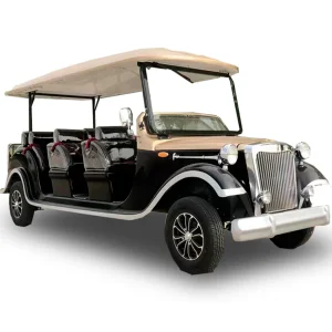Innovative Golf Cart Accessories for Enhanced Electric Vehicle Experience
