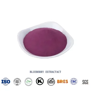 Blueberry Extract
