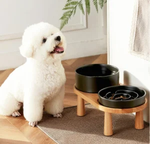 Custom Ceramic Slow Feeder Dog Bowl Set