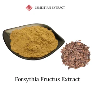 Forsythia Fructus Extract Forsythin 1% to 98% Oleanolic Acid Anti Inflammatory Immune Support Powder Customizable Herbal Bulk