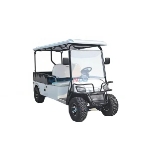 Hot Sale Electric Golf Cart with Refrigerated Cargo Box 3.5KW Motor Lead-acid Battery 30-50Km/h Speed