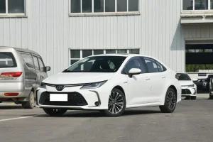 Dominica Smart Electric Hybrid Fleet Cars