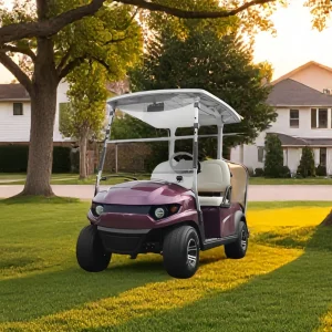 Wholesale Price 2 Seater Electric Golf Cart for Hotel Airport Use Lithium Battery Golf Buggy Free Maintenance Golf Cart on Sale