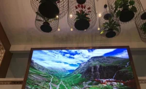 Seamless Fixed Small Pixel Pitch P1.875 LED Signage Advertising Panel Display Screen