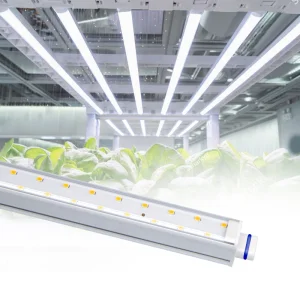 Barrina Plant Grow Lights