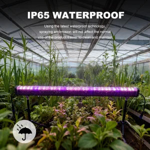 OEM ODM Aluminum LED Undercanopy Canopy Grow Light 120W Dimmable IP65 Full Spectrum Daisy Chained