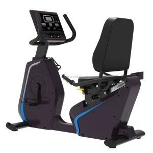 Commercial Gym Fitness Machine Cardio Magnetic Control Horizontal Exercise Bicycle Recumbent Bike