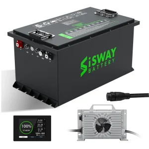 LiFePO4 Golf Cart Battery 48V 50Ah 100Ah 200Ah 300Ah Lithium Ion Battery Pack With Charger