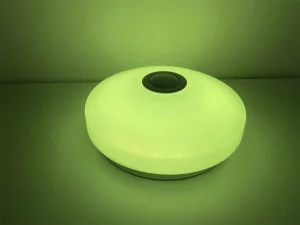 18W WiFi/Mobile APP Control Smart Round LED Ceiling Light
